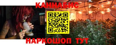 прущие грибы Можга