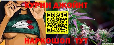 прущие грибы Можга